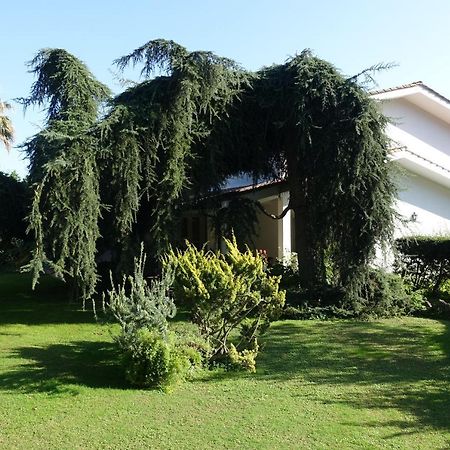 Villa Paradiso Le Rughe Екстериор снимка